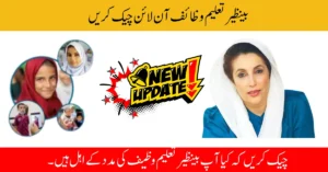 Check Benazir Taleemi Wazaif Online – BISP 8171 Web Portal 2025