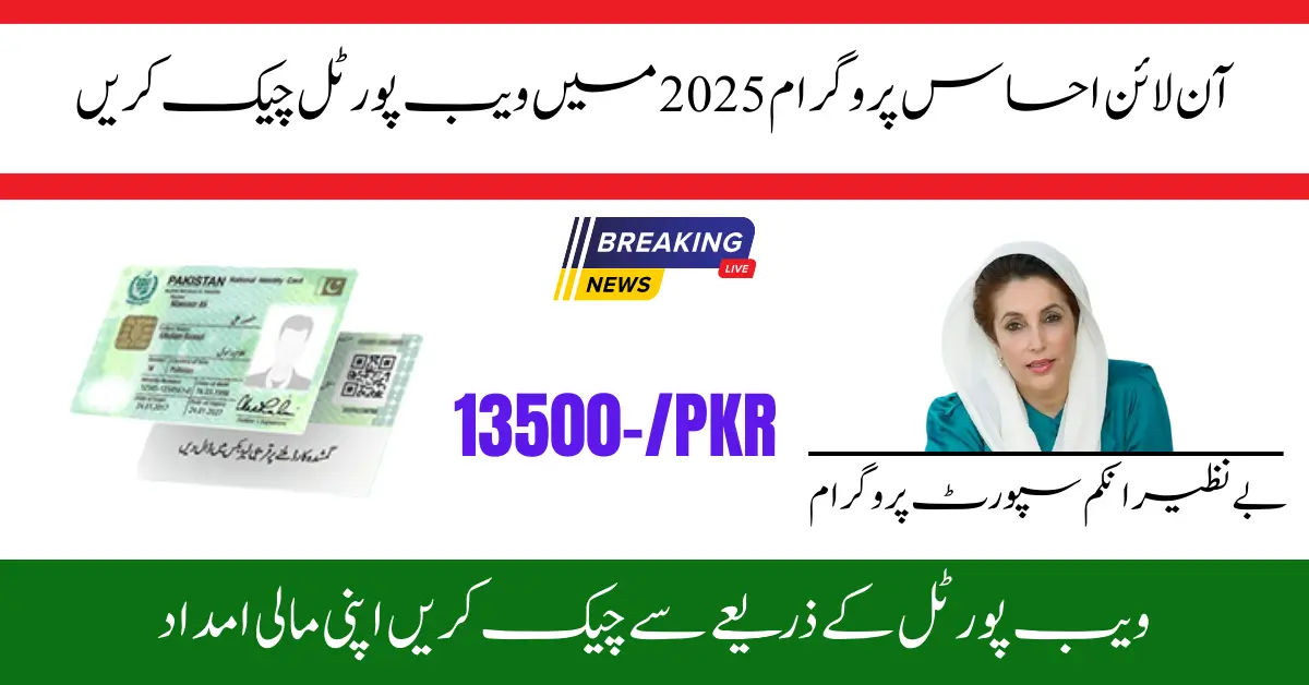 8171 Check Oline CNIC Ehsaas Program 2025 – Complete Guide via 8171 Web Portal