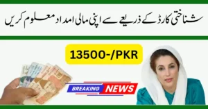 BISP 8171 Result Check Online by CNIC – Complete 2025 Guide