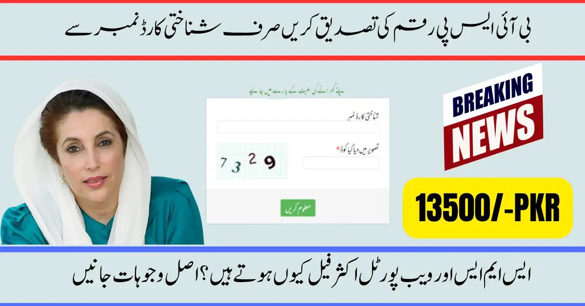 8171 Validation Portal Verify BISP 13500 Payment with ID Card
