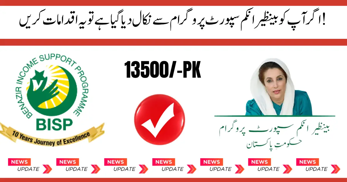 BISP Disqualified in 2025 Here's Why & How to Requalify for Rs. 13,500