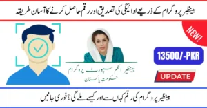 BISP 8171 Payment Verification: What You Need to Know to Get Your Funds